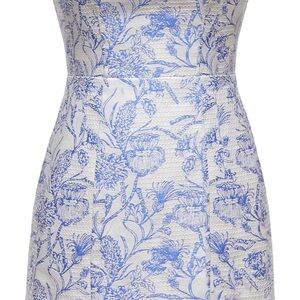 Floral Blue and White Dress